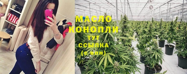тгк Горнозаводск