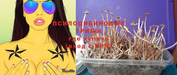 тгк Горнозаводск